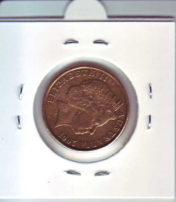 Noodled-A-Few-Coins-Today....